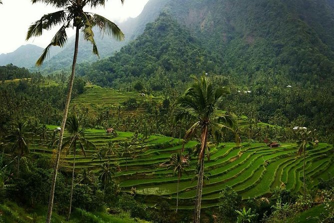 All inclusive Bali Sekumpul Waterfalls Trekking Tour - Fiji, or Fili, and the water activities