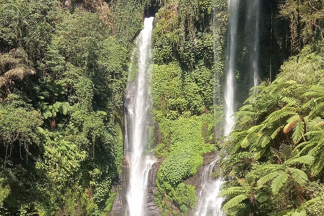 All Inclusive Sekumpul Waterfall Trekking , Handara Gate & Temple - Private transport makes the long day easier