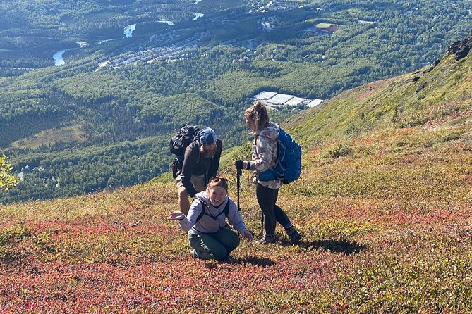 Alpine Classic Trek - Key Points Before You Book