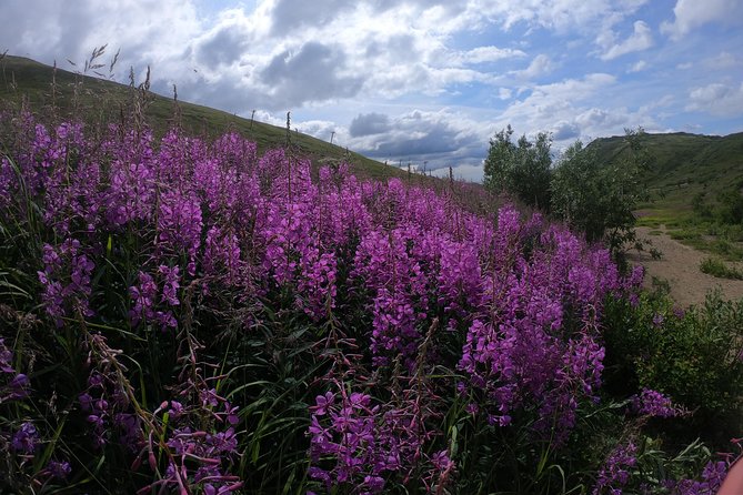 Alpine Classic Trek - Who Will Enjoy This Hike Most