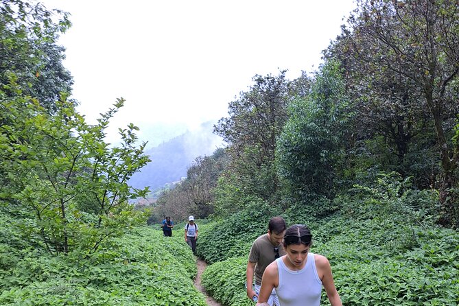 Amazing 1 Day Trekking Experience in Kathmandu Nepal - Taudaha Lake and the old Kathmandu Valley
