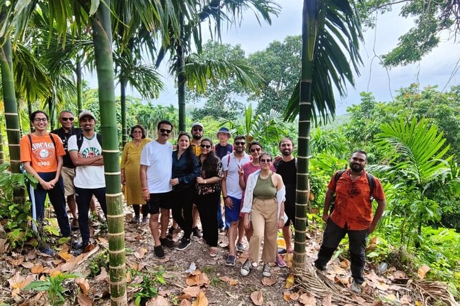 Ancient Lava Stream Trek through dense Tropical forest. - Why This Hike Is Different from a Standard Nature Walk