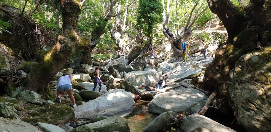 Andros: Achla River Trekking to the Waterfall - River trekking through trees and streamlets