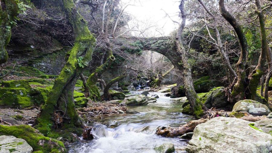 Andros: Achla River Trekking to the Waterfall - The easier route back to the meeting point