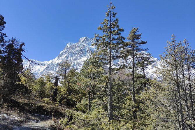Annapurna Base Camp Trek 10 Days - Key points at a glance