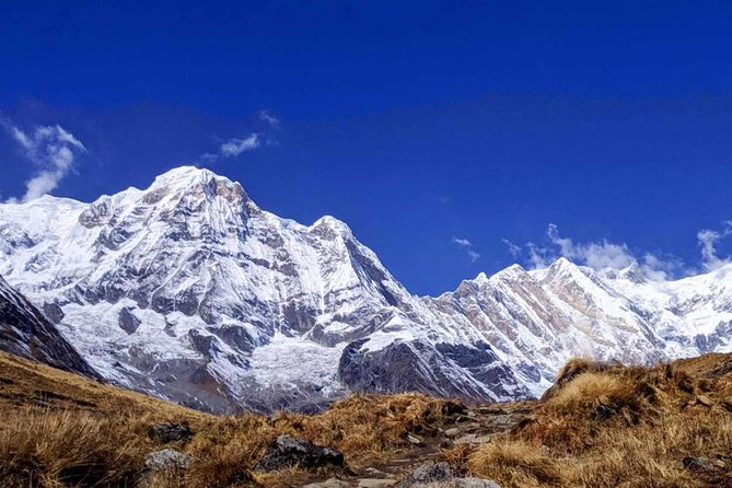 Annapurna Base Camp Trek- 11 Days - The long return to Bamboo