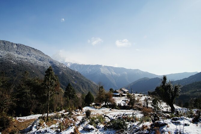 Annapurna Base Camp Trek 11 Days Full Package - Day 2: Nayapul, Tikhedhunga, and the first trail miles