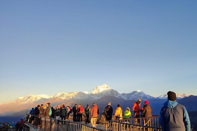 Annapurna Base Camp Trek 12 Days - Day 6: Tadapani to Sinuwa Through Chhomrong
