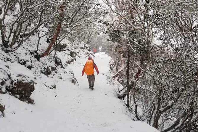Annapurna base camp trek 5 Days - Tea houses, food, and included equipment