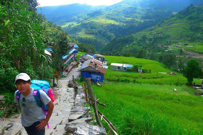 Annapurna Base Camp Trek -8 days - Day 3: Chhomrong to Dovan through Bamboo forest