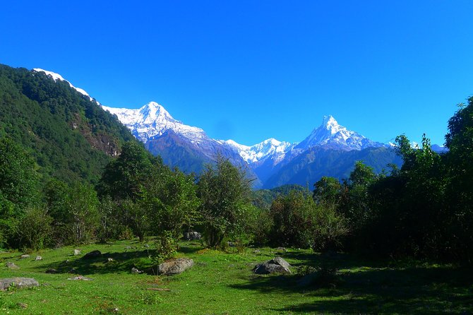 Annapurna Base Camp Trek -8 days - Day 4: Dovan to Machhapuchare Base Camp