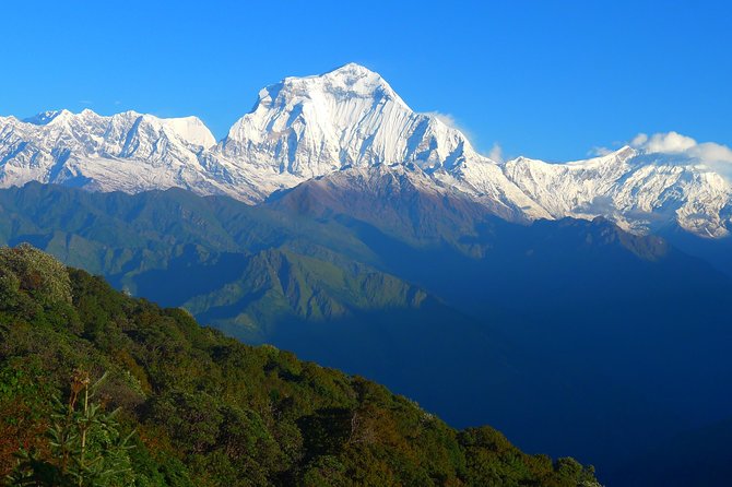 Annapurna Base Camp Trek -8 days - Day 5: Machhapuchare Base Camp to Annapurna Base Camp