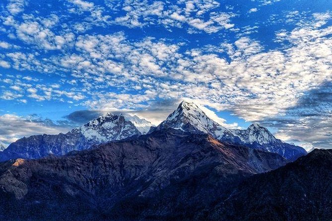 Annapurna Base Camp Trek and Chitwan Excursion - Chitwan replaces snow peaks with jungle tracks