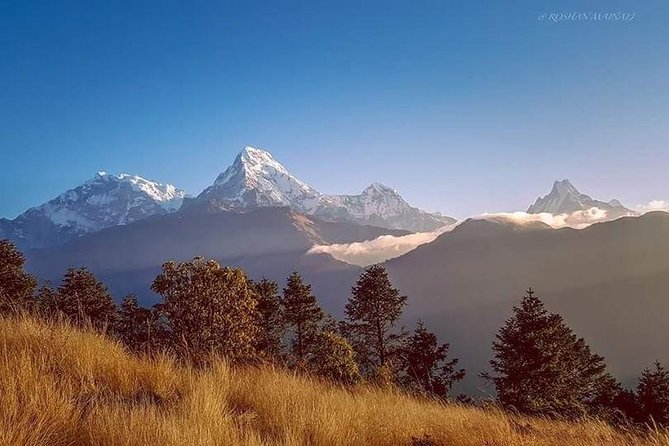 Annapurna Base Camp Trek and Chitwan Excursion - Patan, Bhaktapur, and one last look at old Nepal