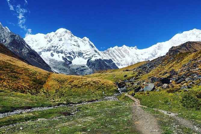 Annapurna Base Camp Trek and Chitwan Excursion - Ghorepani and Poon Hill deliver the trek’s first big reward