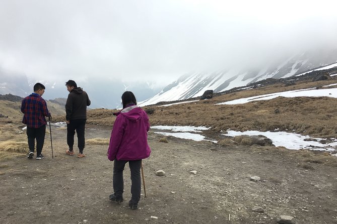 Annapurna Base Camp Trek form Kathmandu - Day 5: Chhomrong and the Route Deeper Into the Mountains