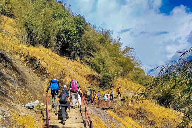 Annapurna Base Camp Trekking 09 Days - Day 5: Sunrise at ABC and the long descent to Bamboo