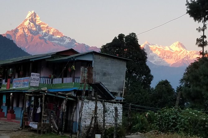 Annapurna Base Camp Trekking - 14 Days - Day 5: Ghorepani to Tadapani