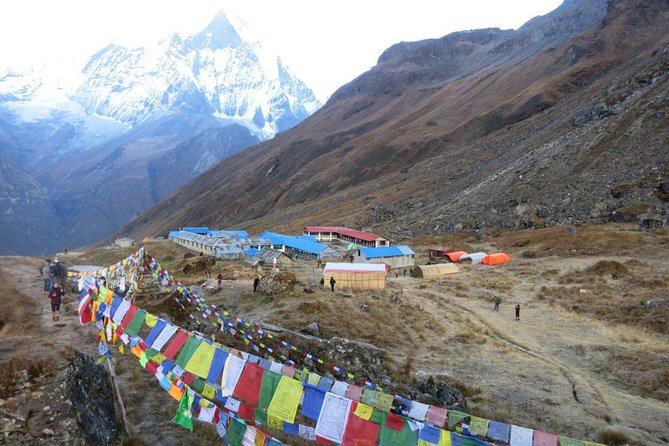 Annapurna Base Camp Trekking - 14 Days - Day 6: Tadapani to Chhomrung