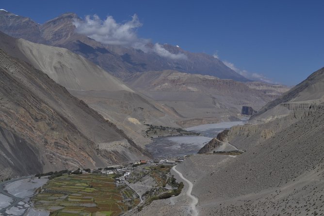 Annapurna Circuit Trek 12 days - Rhododendron woods and changing mountain life
