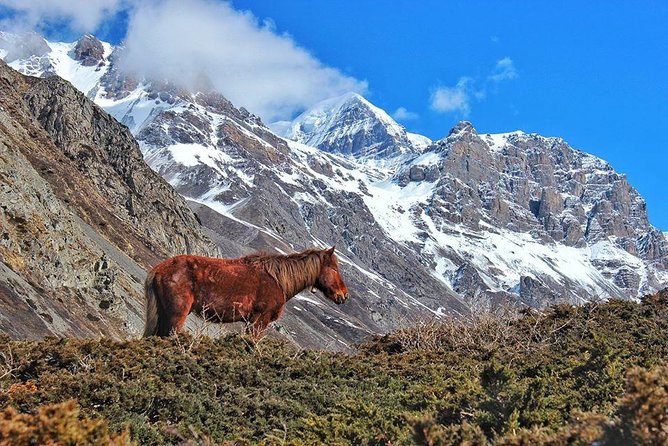 Annapurna Circuit Trek with Heritage Highlights - Kathmandu begins with three major heritage sites