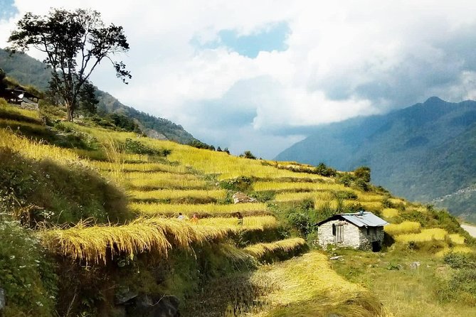 Annapurna Circuit Trekking -17 Days - Day 11: Thorung La and the descent to Muktinath