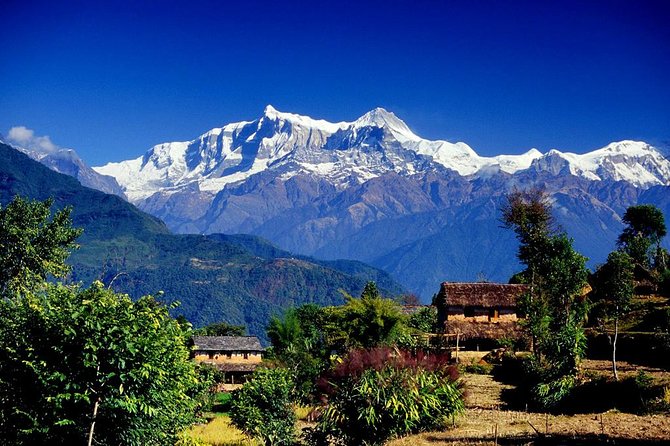 Annapurna Ghorepani Poon Hill trek from Pokhara short and easy hike in Himalaya - Key points to know before booking