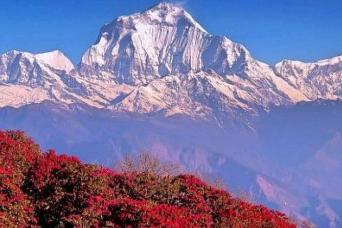 Annapurna Poon hill Sunrise Trek - What the $736 price covers
