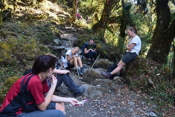 Annapurna Poonhill Trek - Day 1: A simple arrival in Thamel