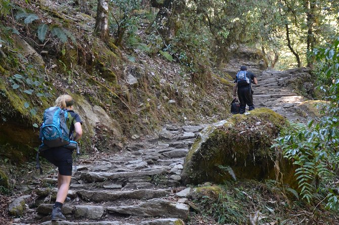 Annapurna Poonhill Trek - Day 3: From Nayapul to Tikhedhunga