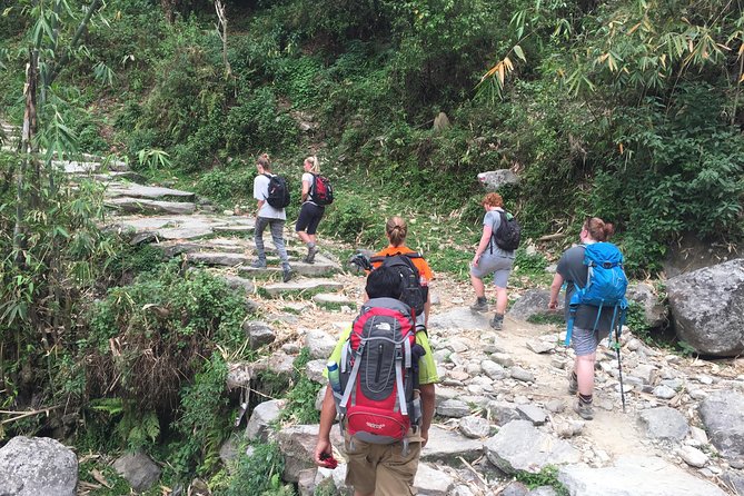 Annapurna Poonhill Trek - Day 4: The stone stairs to Ghorepani