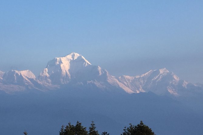 Annapurna Poonhill Trek - Day 6: Forest trails and Gurung life in Ghandruk