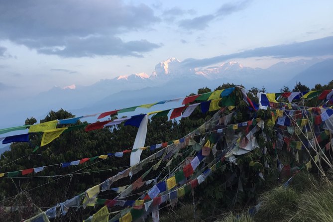 Annapurna Poonhill Trek - Day 7: Ghandruk to Phedi, then back to Pokhara