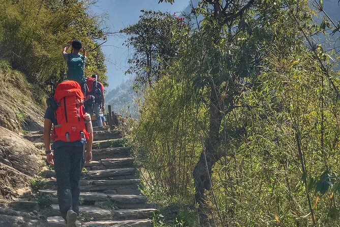 Annapurna Sanctuary Trek ( 11 Days) - Hinku Cave and Machhapuchhre Base Camp