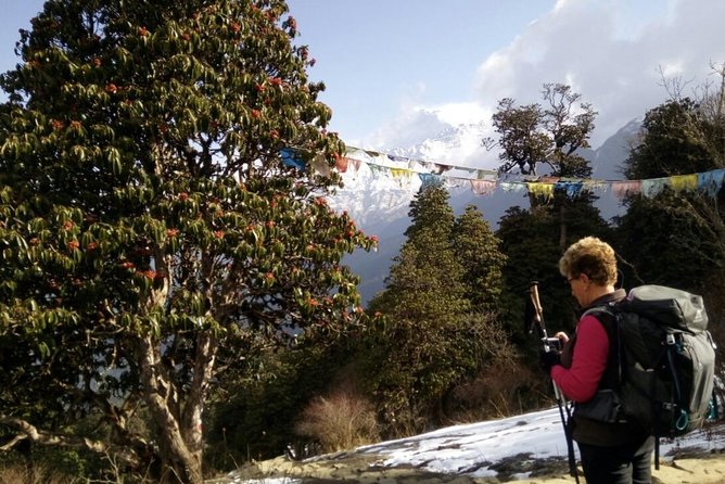 Annapurna Sunrise Trek - Day 4: Ulleri to Ghorepani, with the biggest steady climb