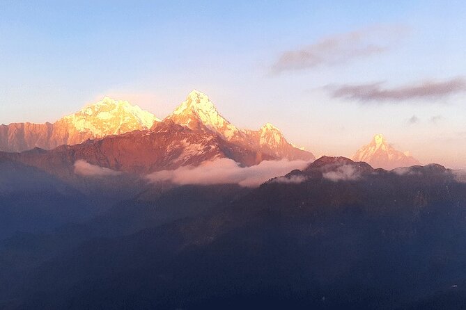Annapurna View Trek - Ghorepani to Tadapani through rhododendron forest