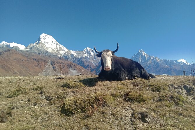 Annapurna View Trek - What $750 covers, and what it does not