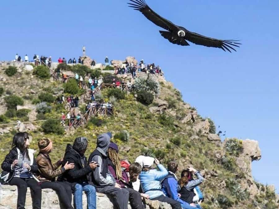 Arequipa: Colca Canyon Trekking 2 days and 1 night + food - Key points before you book