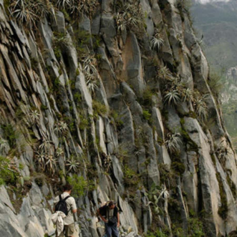 Arequipa: Colca Canyon Trekking 2 days and 1 night + food - The 5:00am climb back to Cabanaconde