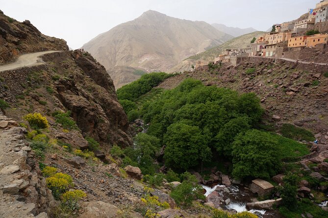 Atlas Mauntains and 3 Valleys Trek - Day One: Forest Paths, Villages, And First Mountain Views