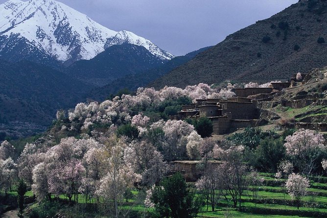 Atlas Mountains & Berber Villages 3 Day Trekking Excursion from Marrakech - The short walk to Imlil on day three