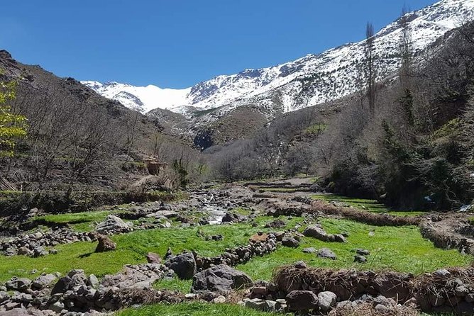 Atlas Mountains Day Trek - Why this Atlas Mountains day trip is appealing