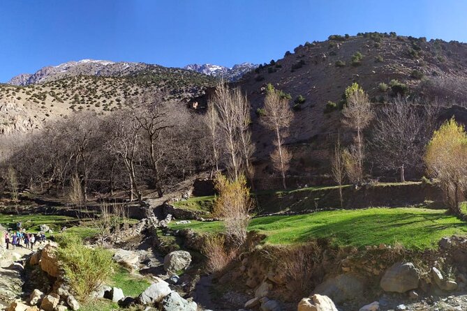 Atlas Mountains Day Trek - Lunch inside a Berber family home