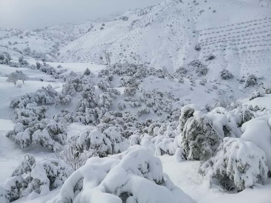 Atlas Mountains Trek Azzaden Valley And Imlil 2 Days - Tizi Mzik gives day one its big mountain view