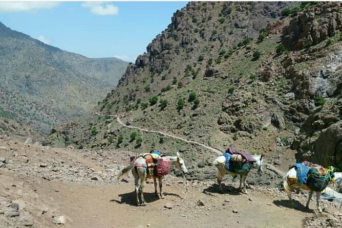 Atlas Valleys & Mount Toubkal Private 3 Days Trek From Marrakech - Who should choose this three-day trek?