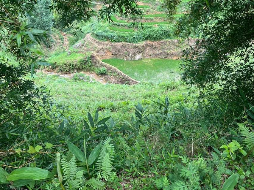 AUTHENIC 2D1N Trek & Bungalow Retreat with Dinh Hmong Family - Who will enjoy this trek most