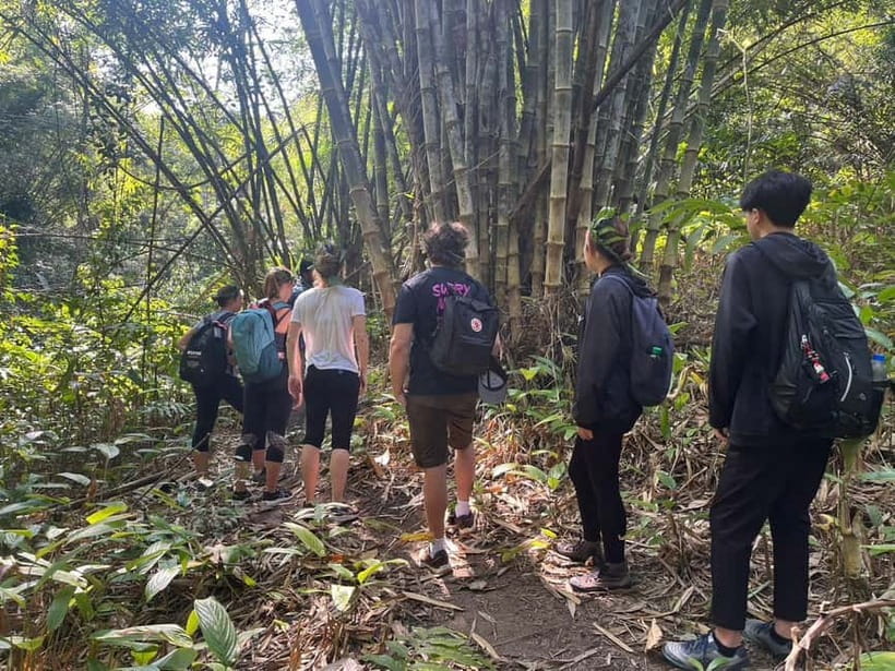 Authentic trek only walk in Chiang Rai jungle - A nine-hour day beyond Chiang Rai