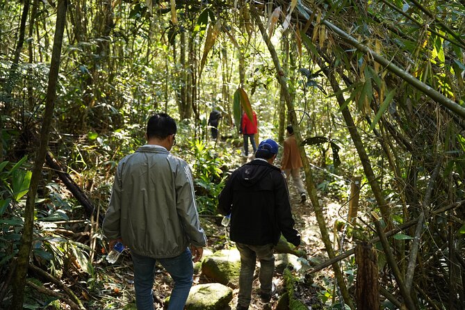 Bach Ma National Park trekking daily tour from Da Nang, Hoi An - Picnic lunch beside the forest