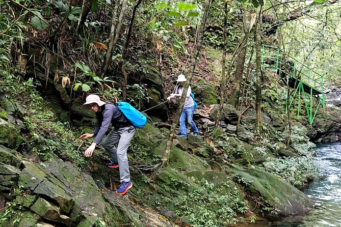 Bach Ma National Park trekking daily tour from Da Nang, Hoi An - Do Quyen Waterfall adds a final challenge