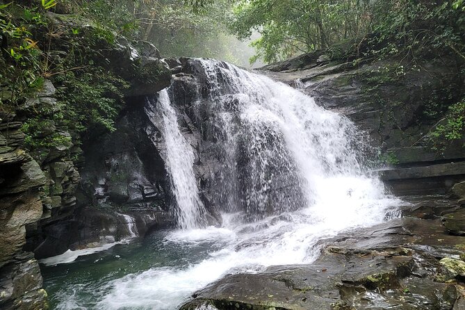 Bach Ma National Park trekking deluxe daily tour from Hue - What the guides add to the day